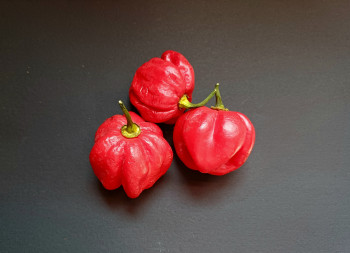 Острый перец - Habanero Giant Red